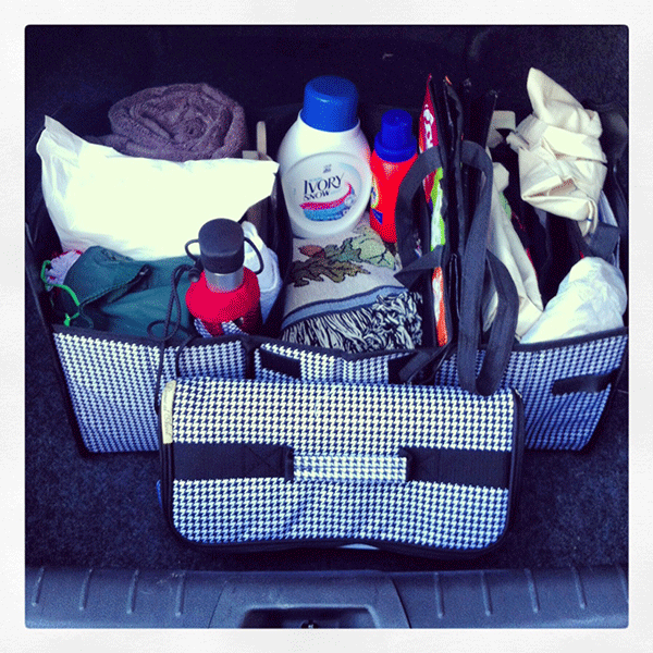 Trunk Organizer