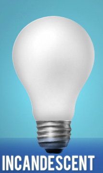 Incandescent Light Bulb