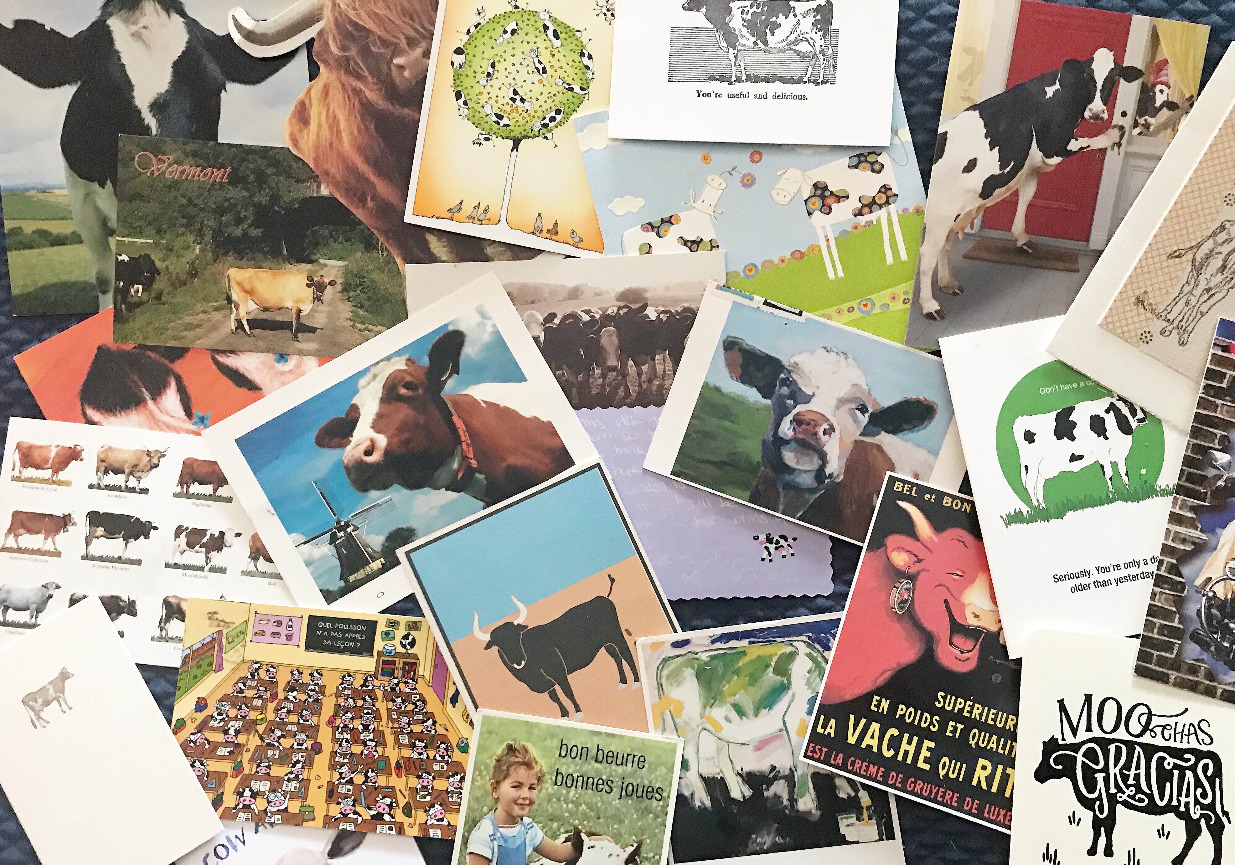 My best friend and I have a long standing tradition of sending each other cow cards - going on 20 years now. These are the cards I've saved.