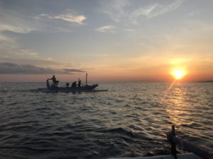 We followed a pod of wild dolphins while the sun rose in northern Bali
