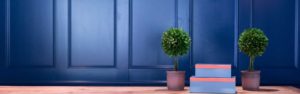 Professional Organizer Services